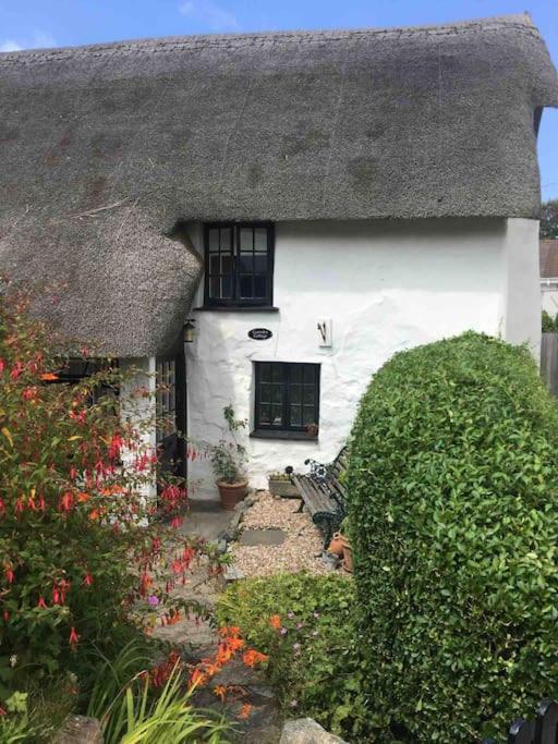 Coombe Cottage 세인트 아그네스 외부 사진